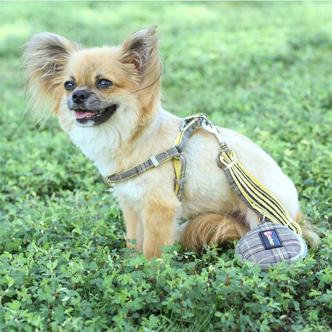 Dog Harness and Leash Set