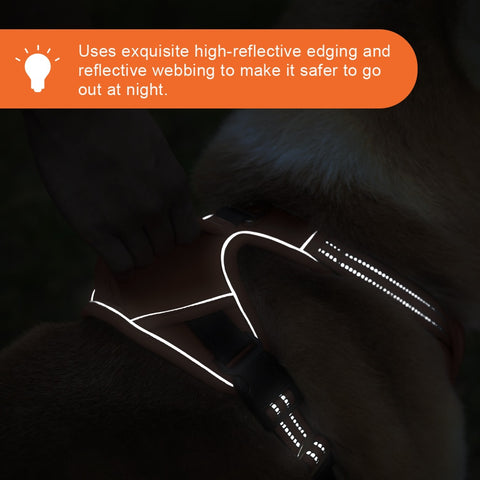 Dog Pet Adjustable harness