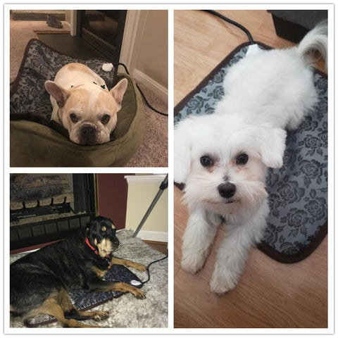 Dog Cat Adjustable Heating Pad