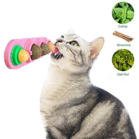 Cat Catnip Ball Toy