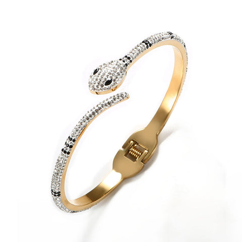 Luxury Stainless Steel Bangles Bracelets