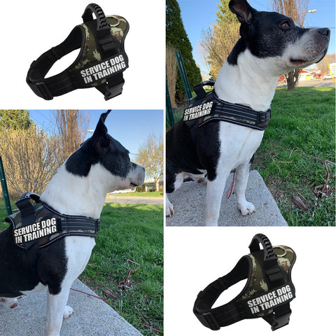 Pet Dog Adjustable Harnesses