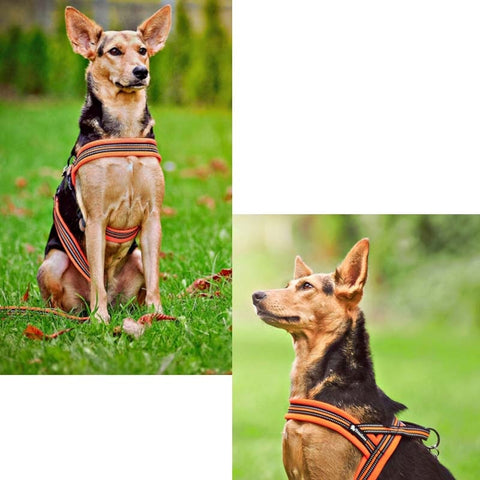Dog Soft Nylon Harness