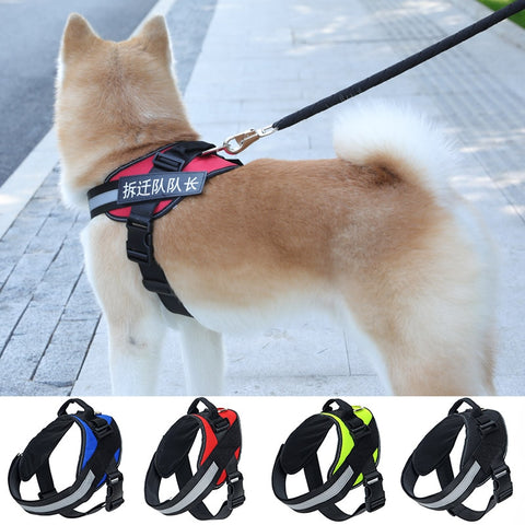 Nylon Heavy Duty Dog Harness Vest