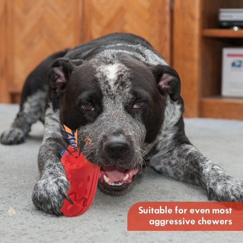 Dog Rubber Dumbbells' Chewing Toys