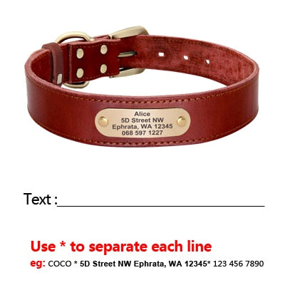 Dog Custom Leather Collar