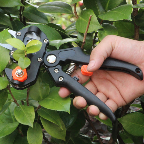 Grafting Shears Scissor