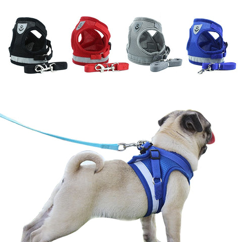 Dog Walking Harness with Leash