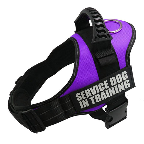Pet Dog Adjustable Harnesses