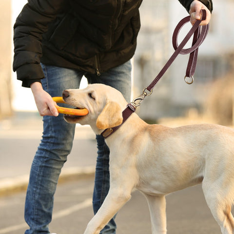 Dog Custom Leather Collar