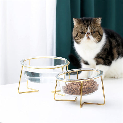 Cat Non-Slip Glass Bowl