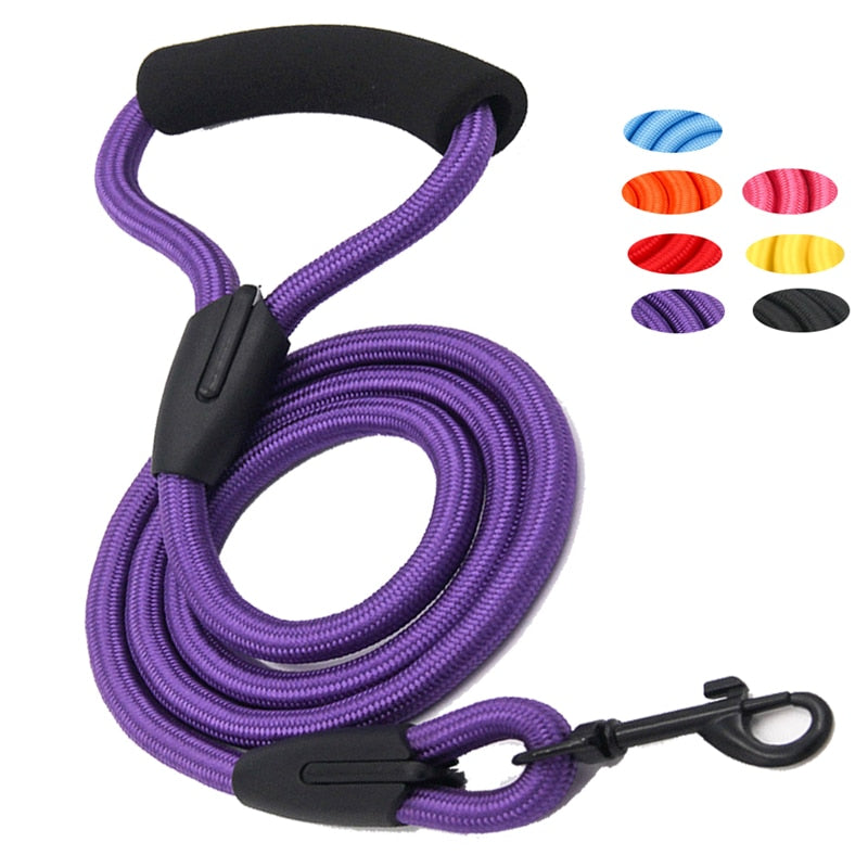 Pets Dog running leash