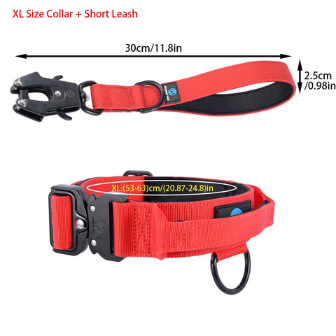 Dog Adjustable Training Collar