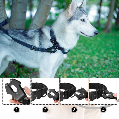 Dog Adjustable Training Collar