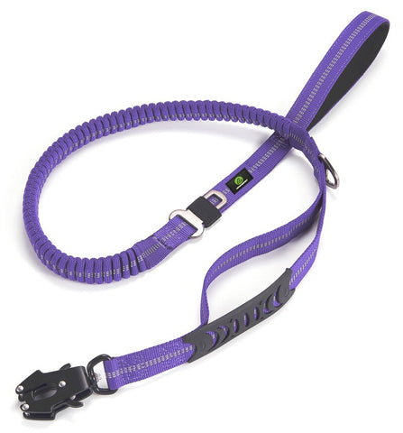 Dog Adjustable Training Collar