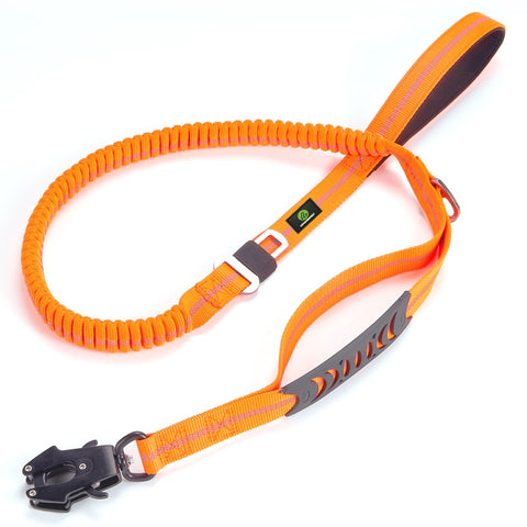 Dog Adjustable Training Collar