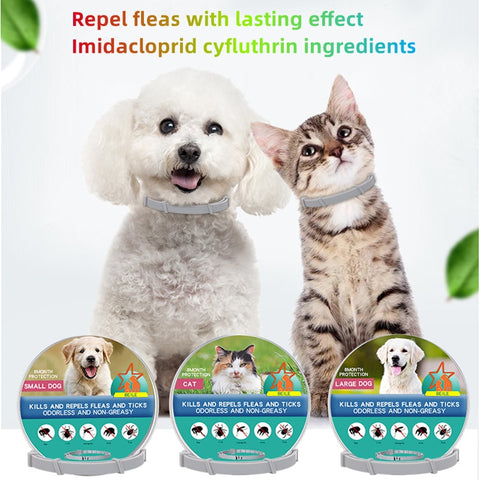 Cats Dog Anti Flea Collar