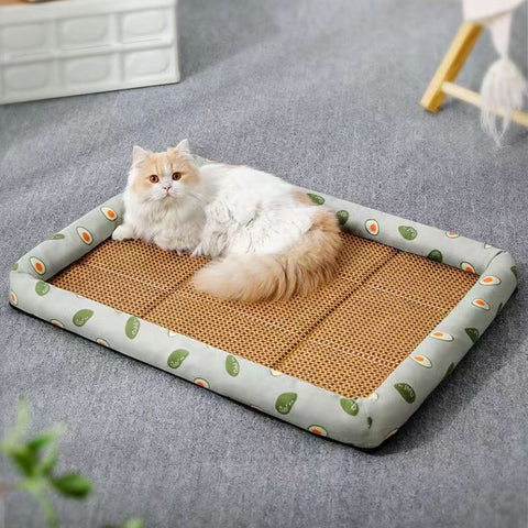 New Summer Cat Bed