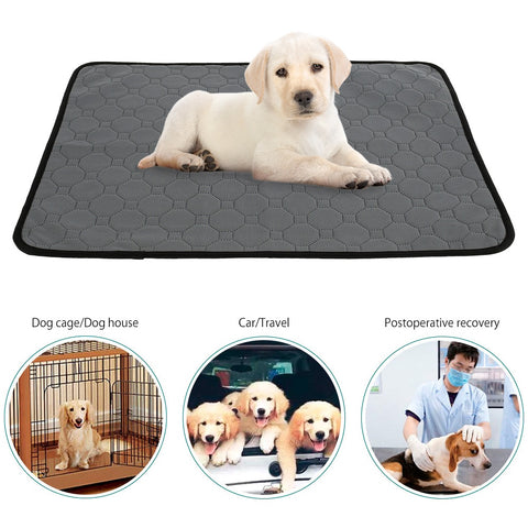 Dog Washable Training Pad