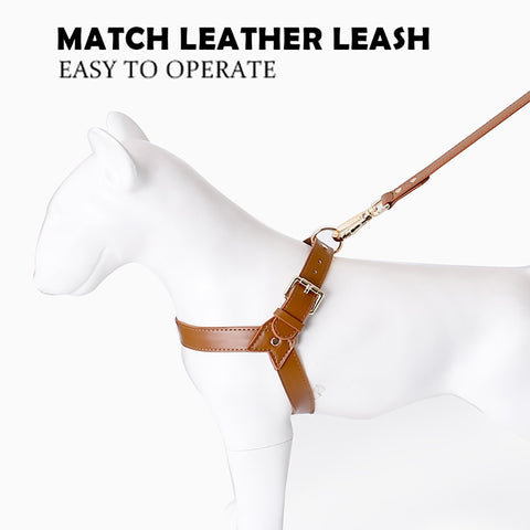 Dog Leather Chest Harness