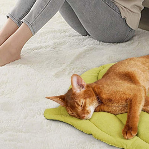 Cat Dog Creativity Leaf Shape Mat