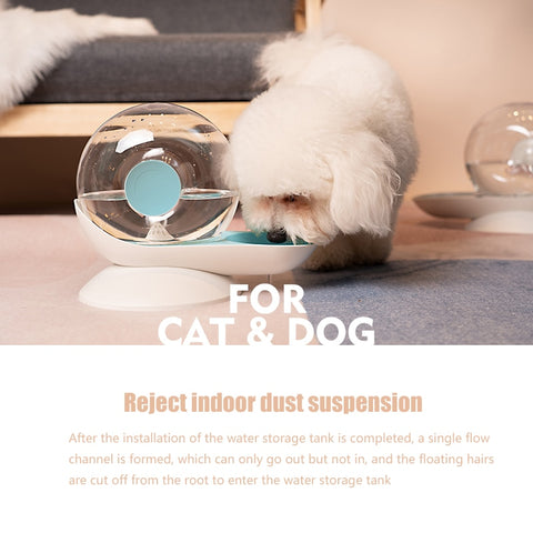 Snails Bubble Automatic Cat Water Bowl