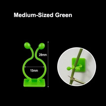 Plant Climbing Wall Fixed Buckle Hook