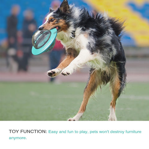 Dog Fun Flying Saucer Food Ball