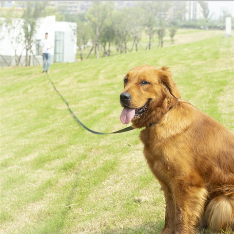 Dog Comfortable Leash Rope