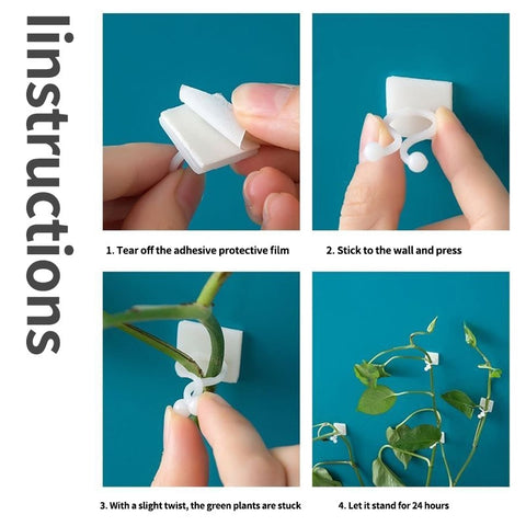 Plant Climbing Wall Fixed Buckle Hook