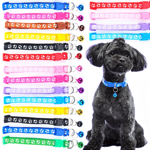 New Colorful Pet Pattern Small Collar