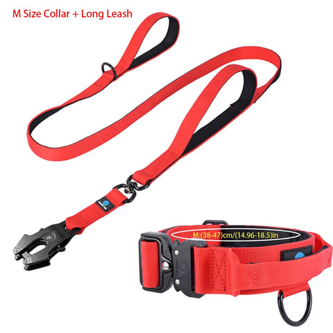 Dog Adjustable Training Collar