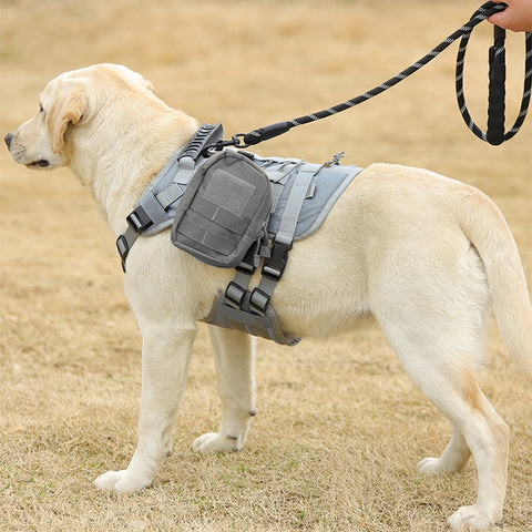 Outdoor Training Walking Dog Harness