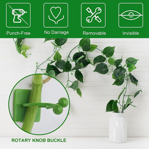 Plant Climbing Wall Fixed Buckle Hook