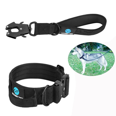 Dog Adjustable Training Collar