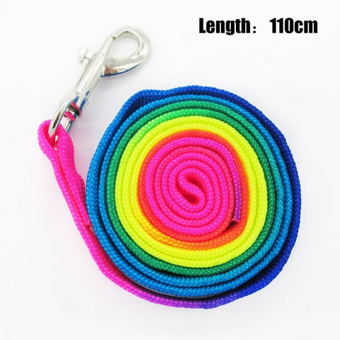 Cat Adjustable Rainbow Harness