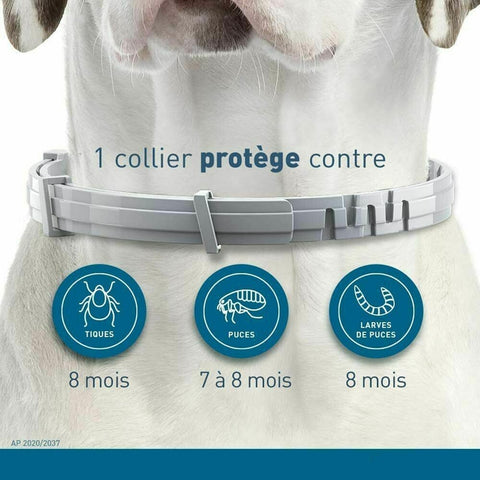 Cats Dog Anti Flea Collar