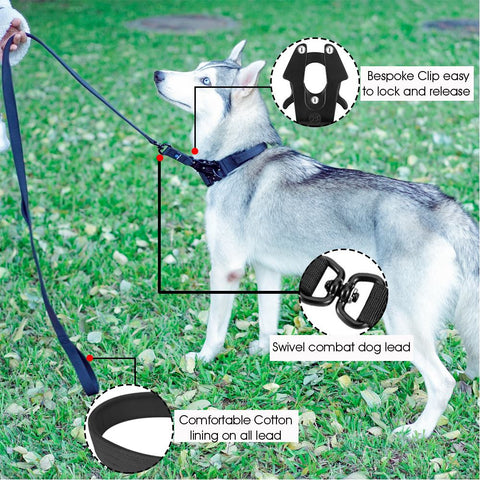Dog Adjustable Training Collar