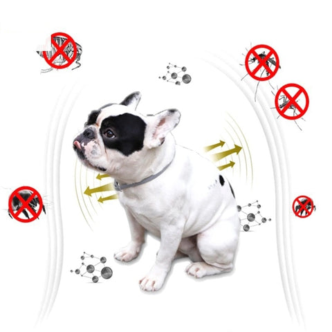 Cats Dog Anti Flea Collar