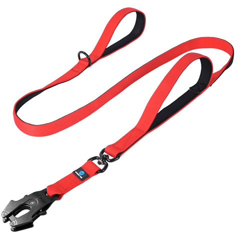 Dog Adjustable Training Collar