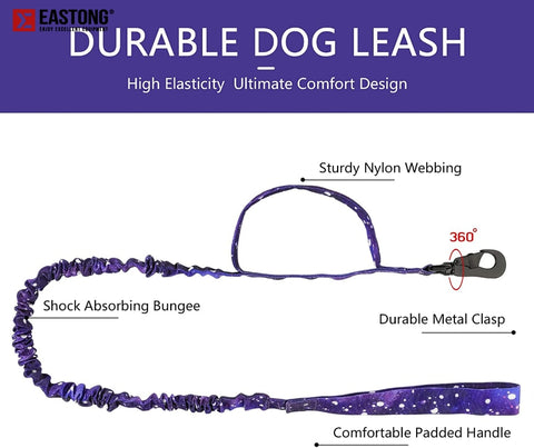 Dog Adjustable Collar