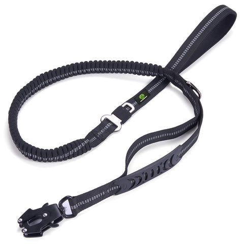 Dog Adjustable Training Collar