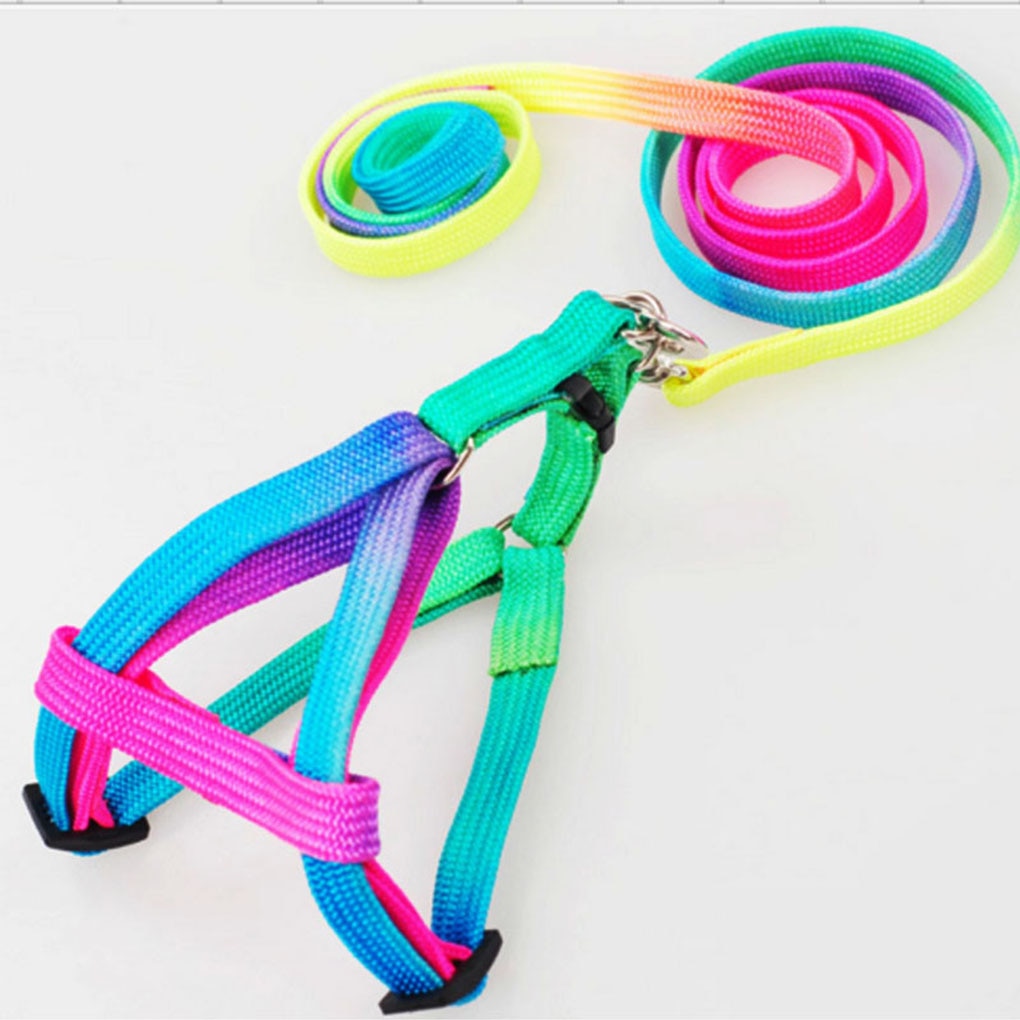 Cat Adjustable Rainbow Harness