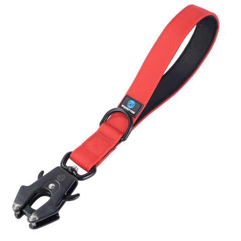 Dog Adjustable Training Collar