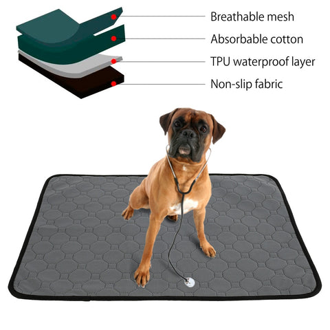 Dog Washable Training Pad