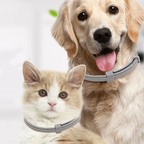 New Pet Anti Flea Collar