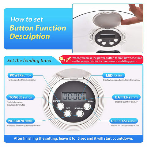 Dog Automatic 6 Grids Feeder