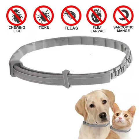 Cats Dog Anti Flea Collar