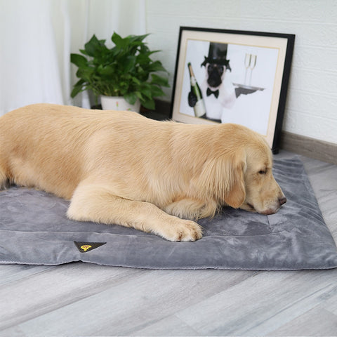 Pet Dog Self Heating Pads