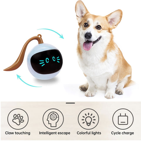 Electric Self Rotating Cat Ball Toys